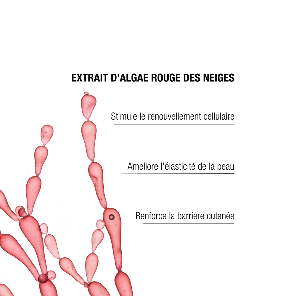 The Remedy Laboratories