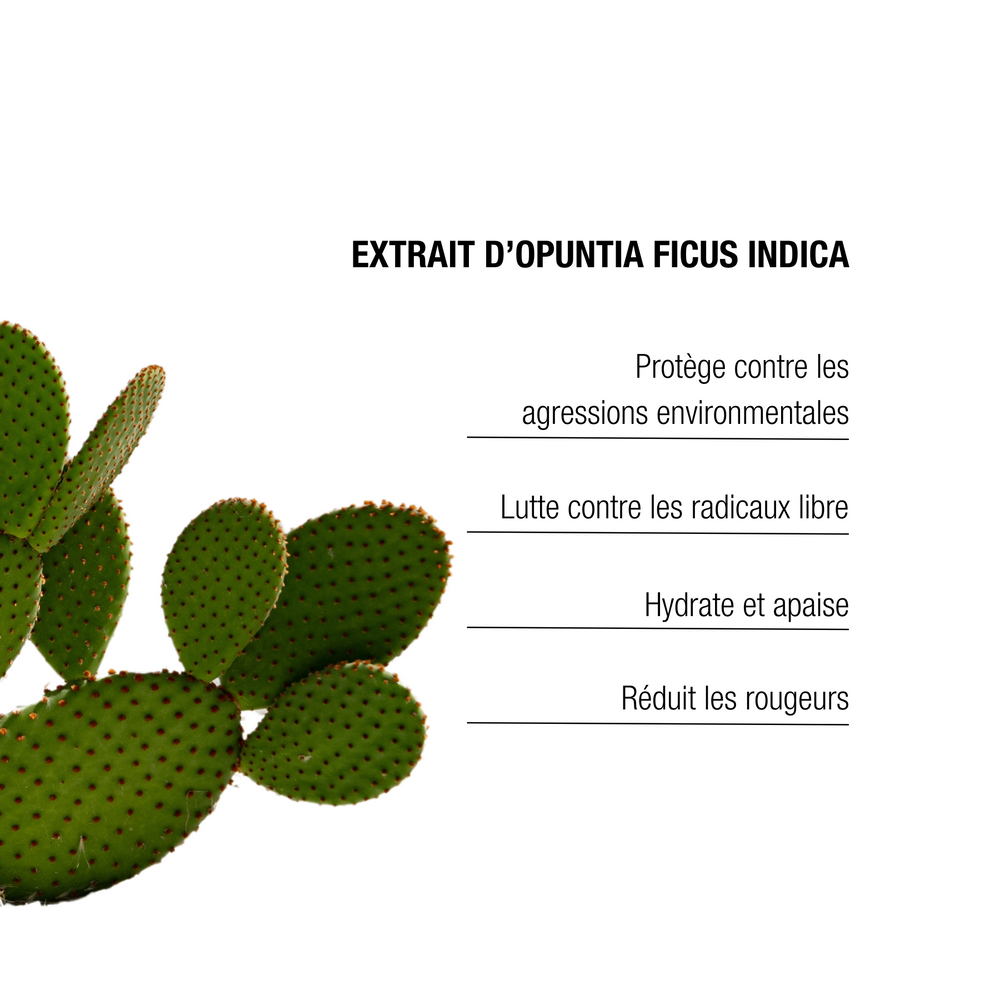 The Remedy Laboratories