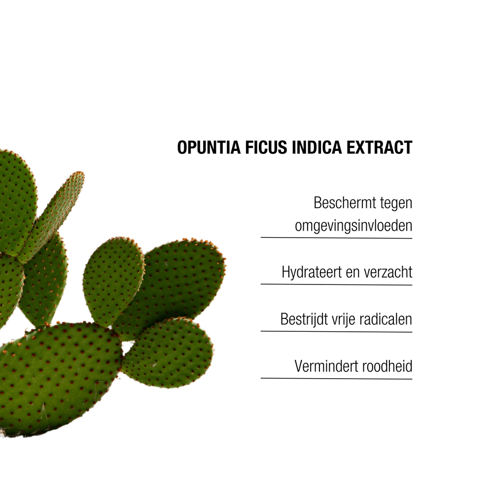 The Remedy Laboratories