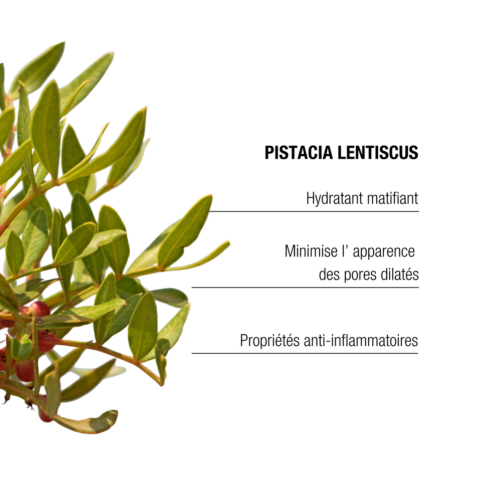 The Remedy Laboratories