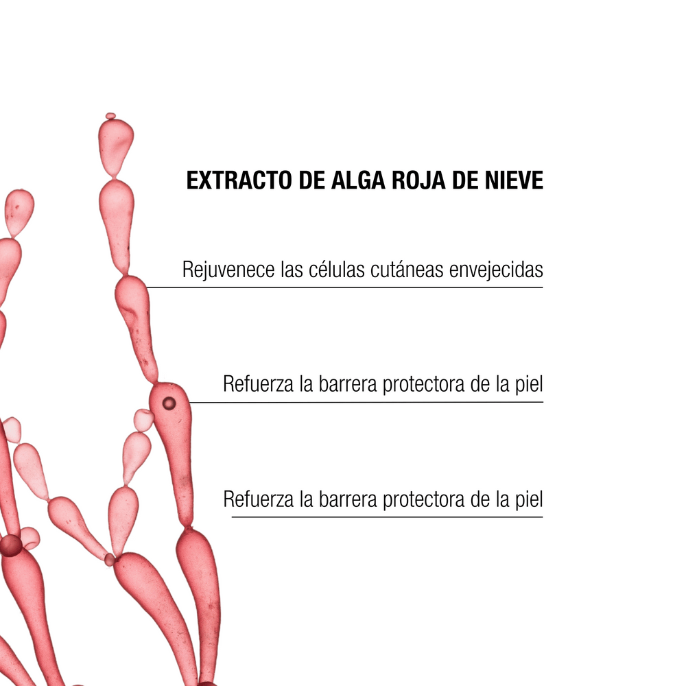 The Remedy Laboratories