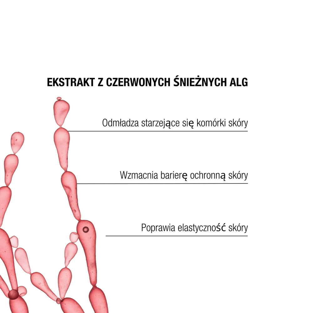 The Remedy Laboratories