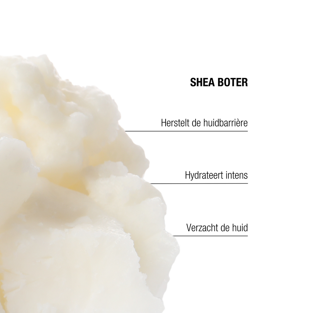 The Remedy Laboratories