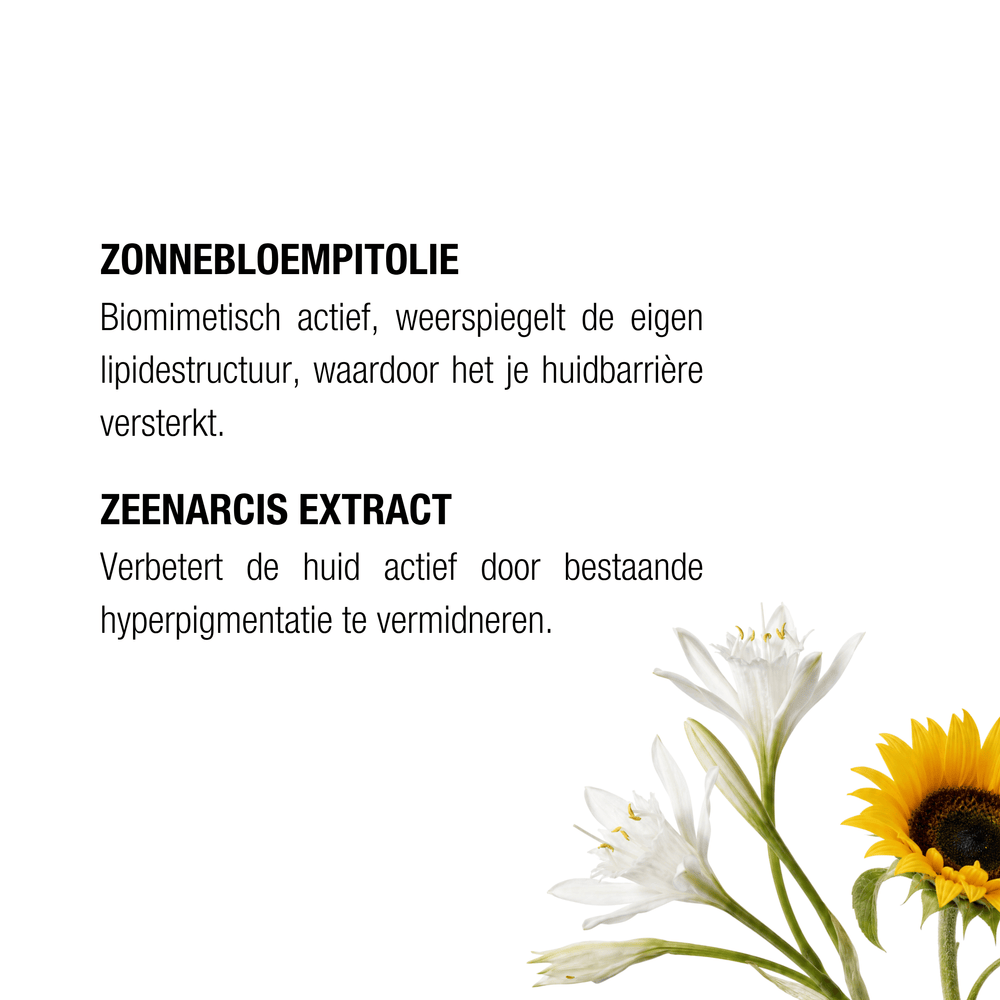 The Remedy Laboratories
