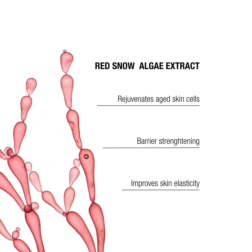 Age Repair Eye Cream