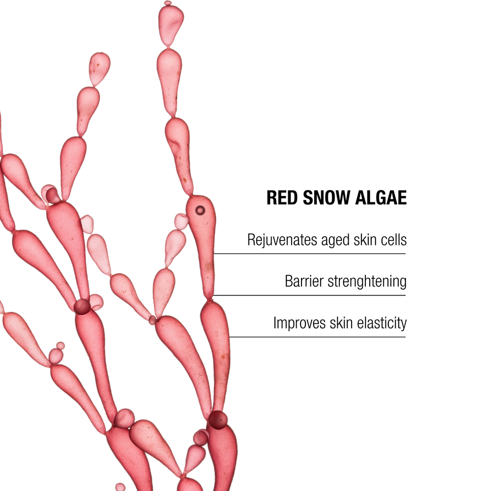 The Remedy Laboratories